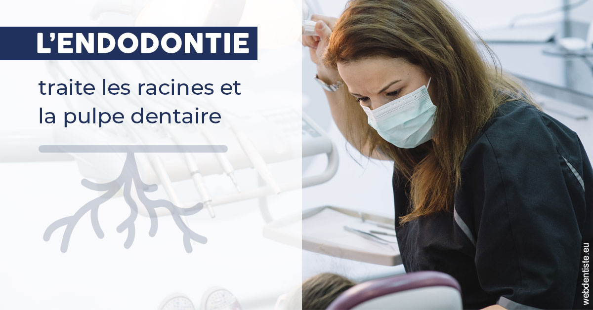 https://dr-hassid-jacques.chirurgiens-dentistes.fr/L'endodontie 1