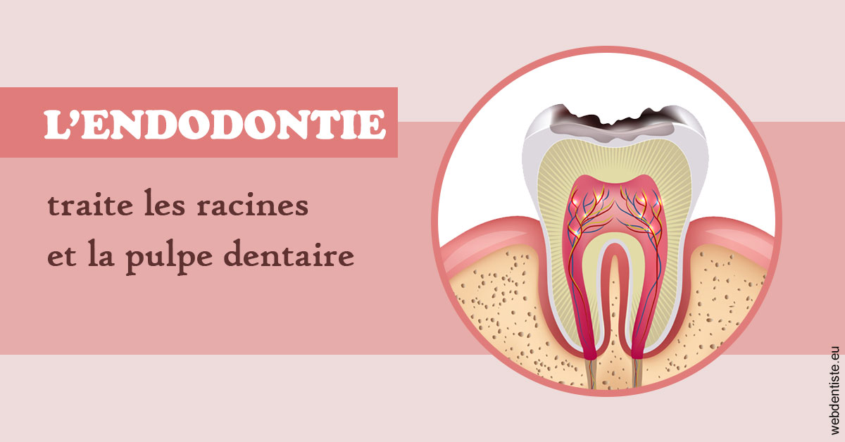 https://dr-hassid-jacques.chirurgiens-dentistes.fr/L'endodontie 2