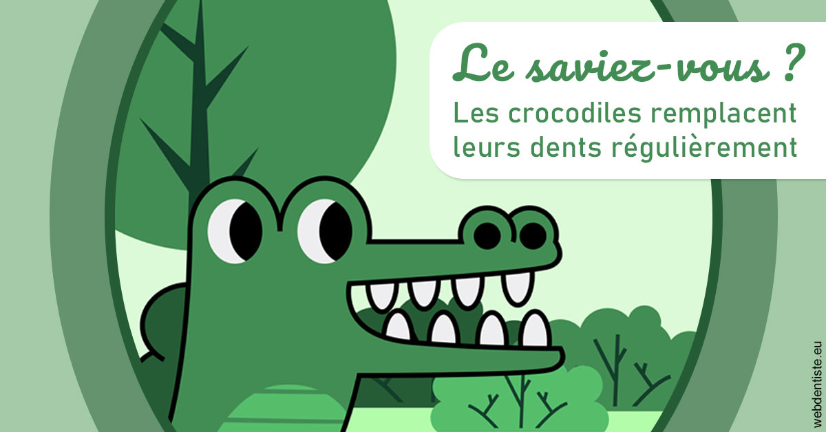 https://dr-hassid-jacques.chirurgiens-dentistes.fr/Crocodiles 2